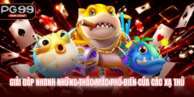 Giải đáp nhanh những thắc mắc phổ biến của các xạ thủ